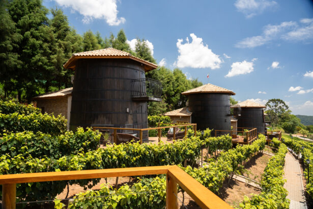 Quinta do Olivardo, São Roque