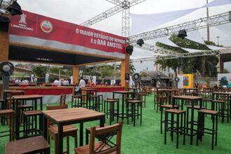 Final da Libertadores na Amstel Fan Fest com música ao vivo e celebração