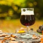 Cervejas para o outono: confira os estilos perfeitos para a estação!