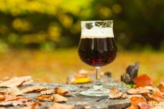 Cervejas para o outono: confira os estilos perfeitos para a estação!