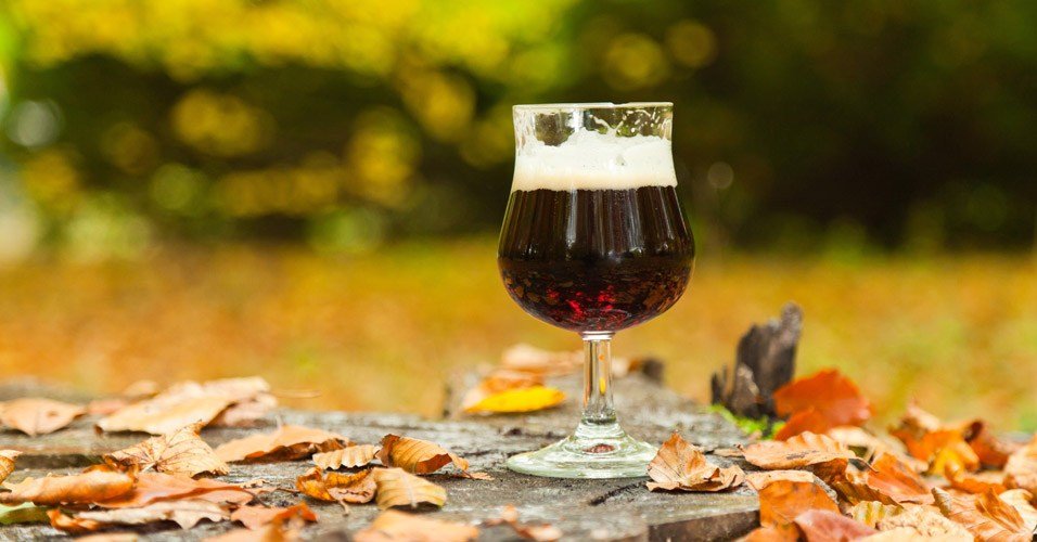 Cervejas para o outono: confira os estilos perfeitos para a estação!