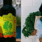 Proa lança cerveja sabor coentro em parceria com Soul Dila