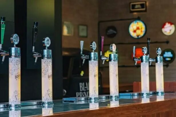 Cervejas da Black Princess vencem concursos nacionais