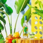 Sagatiba lança nova garrafa e aposta na coquetelaria com brasilidade