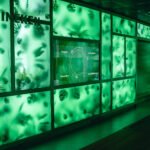 Inside The Star Dia dos Namorados