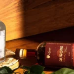 La Guapa lança gin e vermute próprios e amplia universo de sabores