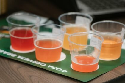 Conexão Cerveja Brasil movimenta Brasília com festival