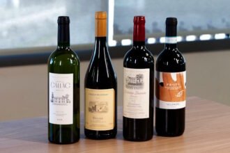 Azul lança nova carta de vinhos em voos internacionais, com curadoria de Gianni Tartari e rótulos do Brasil, França, Itália e Portugal.