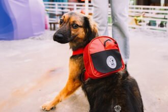 Lagunitas promove campanha de adoção em São Paulo