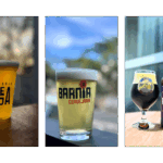 Interior de SP domina etapa Sudeste da Copa Cerveja Brasil. Barnia leva ouro e rótulos premiados seguem para a final nacional. Confira os destaques!