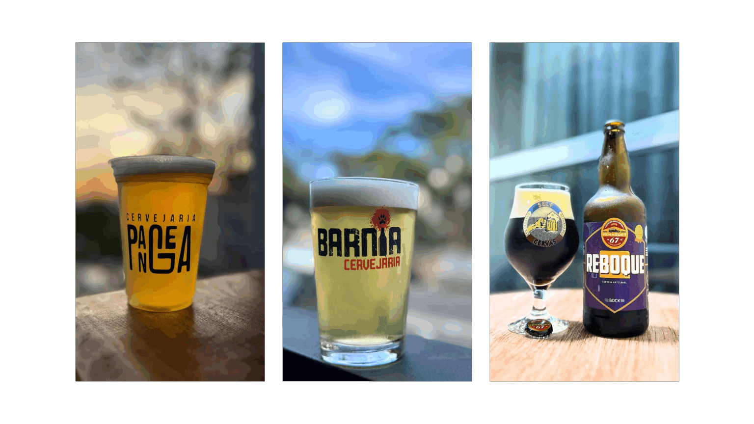 Interior de SP domina etapa Sudeste da Copa Cerveja Brasil. Barnia leva ouro e rótulos premiados seguem para a final nacional. Confira os destaques!