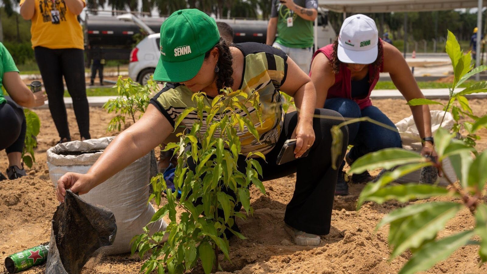 A Heineken acaba de entregar sua primeira microfloresta no Nordeste, em Recife (PE)