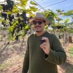 Futuros moradores do Ecivitas Amazonas celebram vindima