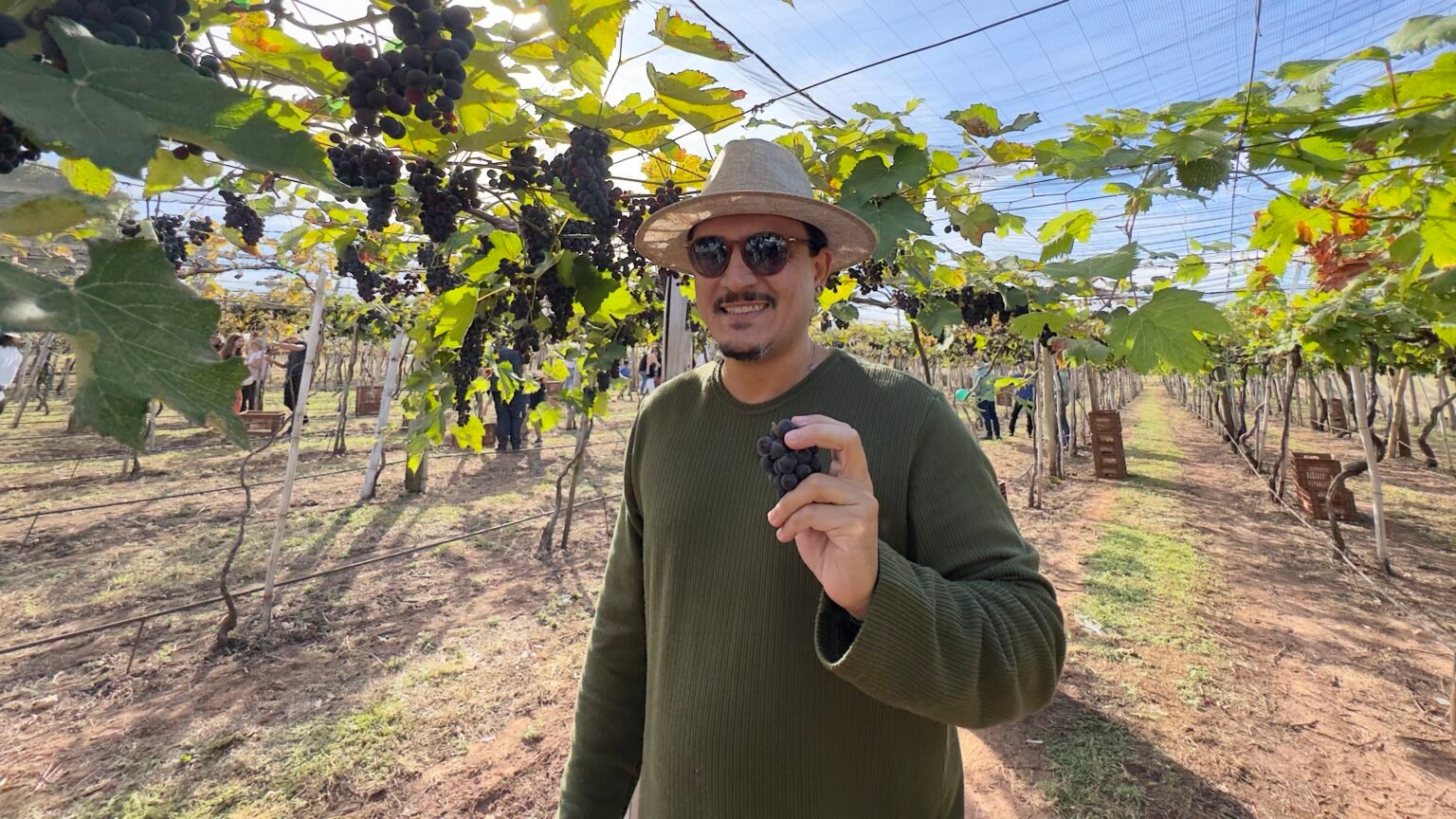 Futuros moradores do Ecivitas Amazonas celebram vindima