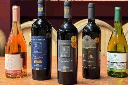 Seu Claudino Superiore 2022, da Villa Triacca, recebe medalha Rosso no The WineHunter Award e garante presença no Merano WineFestival, na Itália.