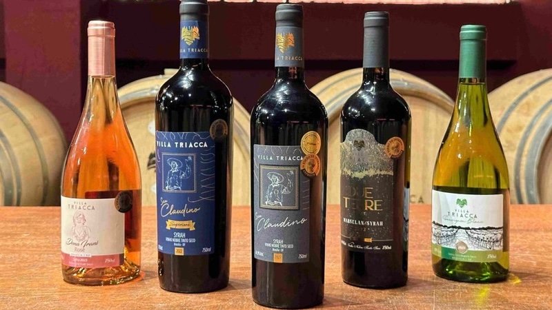 Seu Claudino Superiore 2022, da Villa Triacca, recebe medalha Rosso no The WineHunter Award e garante presença no Merano WineFestival, na Itália.
