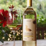Perrito: o vinho que brinda à leveza e aos laços de afeto