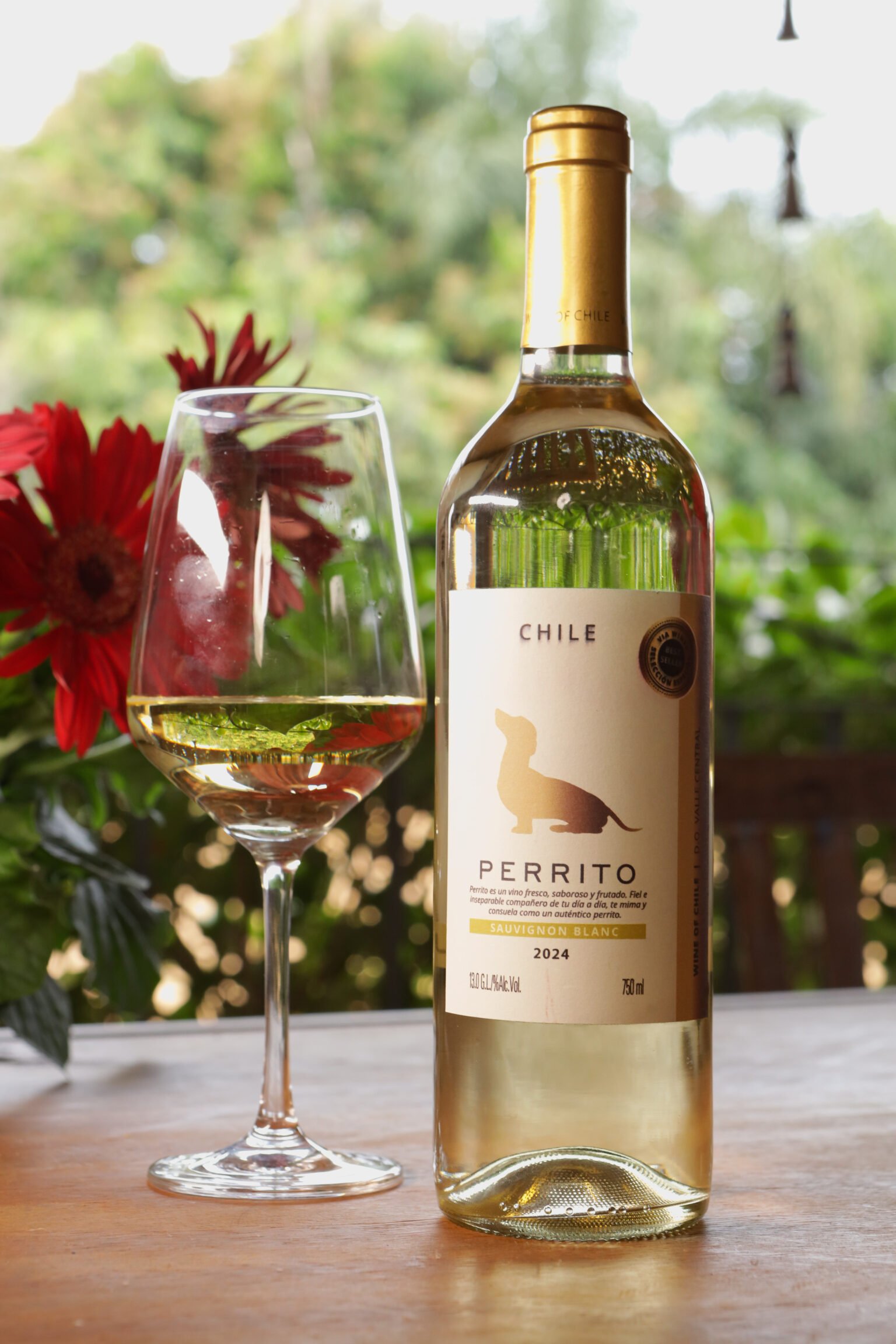 Perrito: o vinho que brinda à leveza e aos laços de afeto