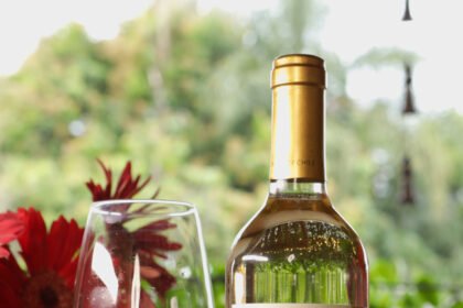 Perrito: o vinho que brinda à leveza e aos laços de afeto