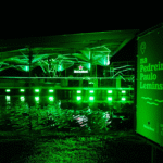 Heineken transforma 24 toneladas de resíduos em legado sustentável