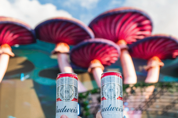 Budweiser reconhece fãs do Tomorrowland Brasil 2025 como cidadãos da Nation of Celebration, com experiências exclusivas e ativações inéditas.