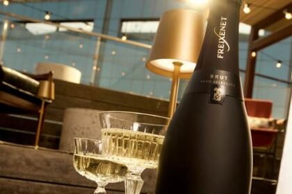 Freixenet anuncia descontos progressivos de até 30% em suas linhas, incluindo Cordon Negro, Carta Nevada e French. Promoção válida em novembro.