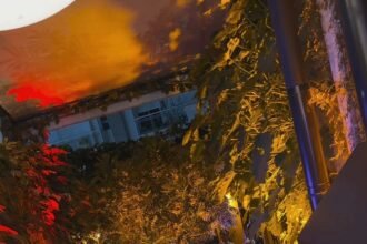 Estrella Galicia reúne fãs e equipe de Liniker em São Paulo para celebrar os três prêmios da artista no Grammy Latino 2025.