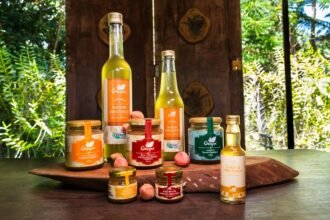 AMZ Tropical, Hilary Gin, A²mazônia Sour e Fazenda Bacuri mostram como ingredientes amazônicos moldam a inovação na coquetelaria nacional.