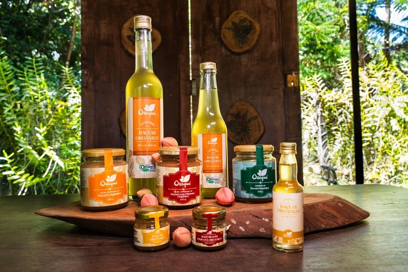 AMZ Tropical, Hilary Gin, A²mazônia Sour e Fazenda Bacuri mostram como ingredientes amazônicos moldam a inovação na coquetelaria nacional.